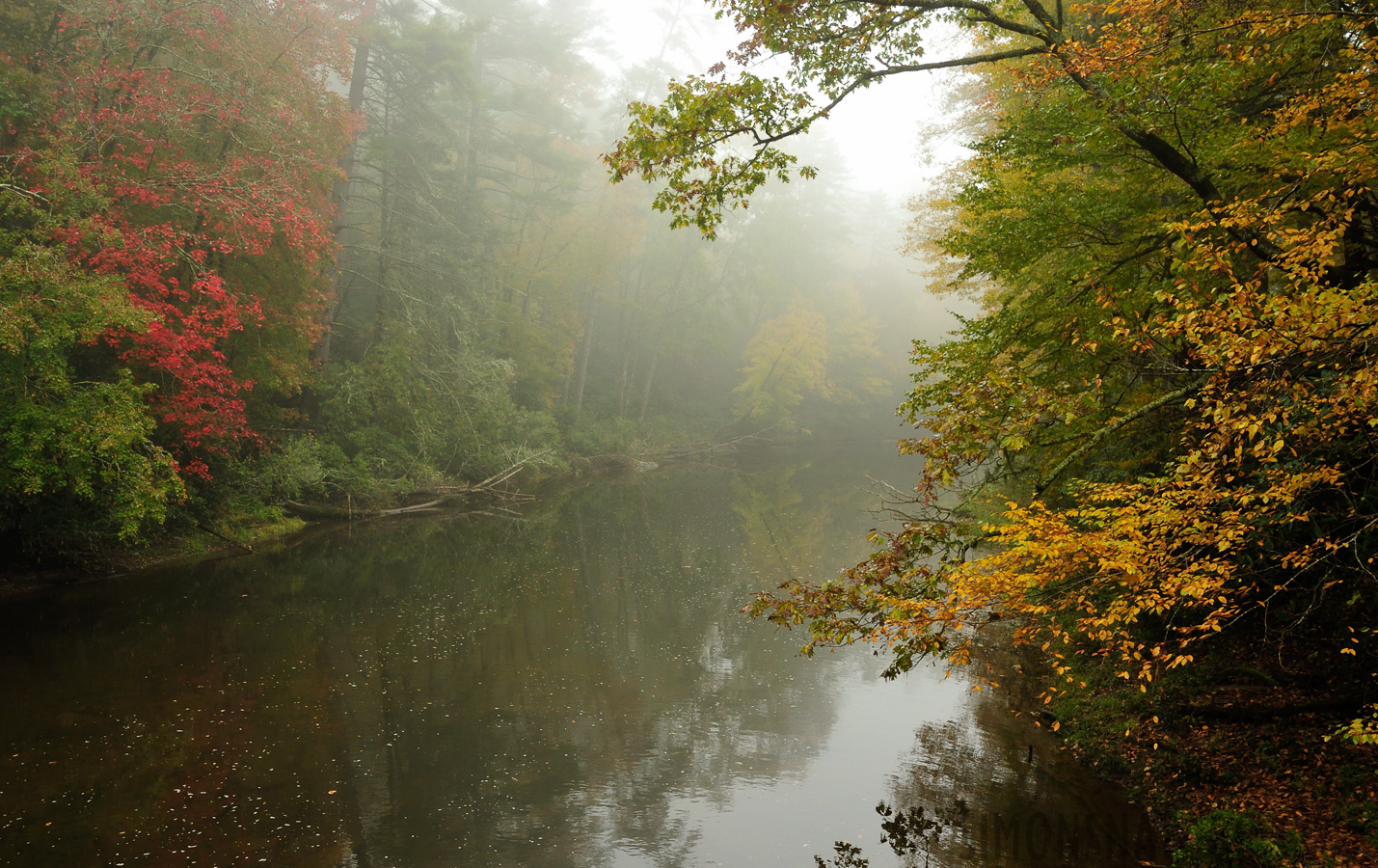 North Carolina [28 mm, 1/60 sec at f / 8.0, ISO 1000]